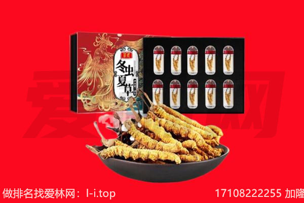 合浦县回收虫草.jpg